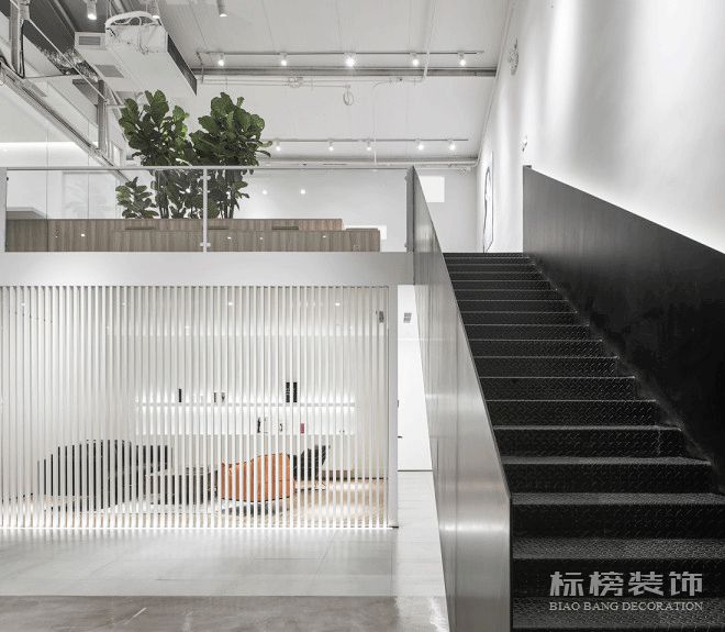 辦公室植物擺放植物有哪些，怎么擺放比較好？